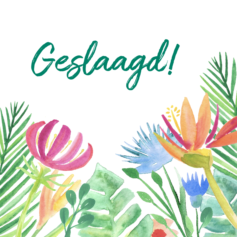 Geslaagdkaart tropische bloemen - Geslaagd kaarten Geslaagd kaarten - Geslaagdkaart tropische bloemen