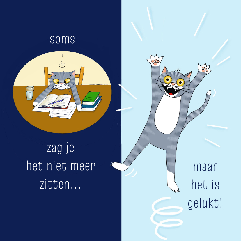Geslaagdkaartje soms zag je het niet meer zitten... - Geslaagd kaarten Geslaagd kaarten - Geslaagdkaartje soms zag je het niet meer zitten...