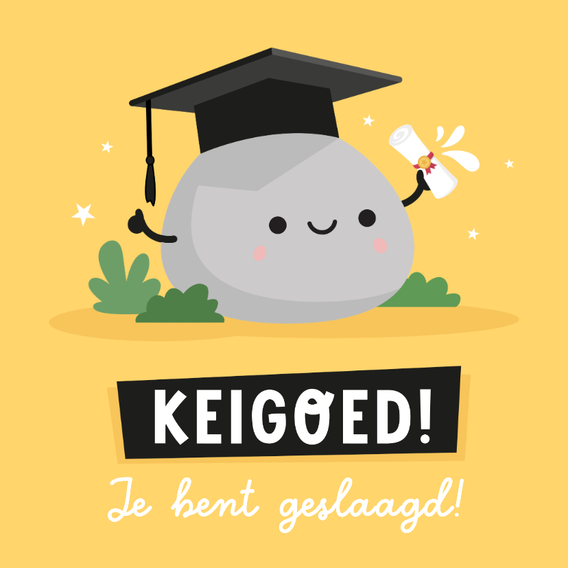 Geslaagd kaarten - Grappige geslaagd kaart 'keigoed' met steen met oogjes