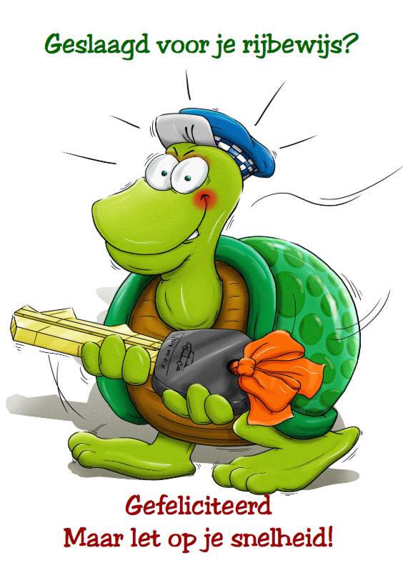Grappige geslaagd kaart schildpad met sleutel - Geslaagd kaarten Geslaagd kaarten - Grappige geslaagd kaart schildpad met sleutel
