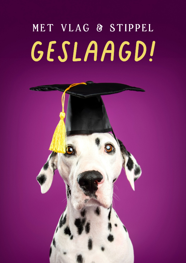 Geslaagd kaarten - Grappige geslaagd kaart van dalmatiër met geslaagd hoedje