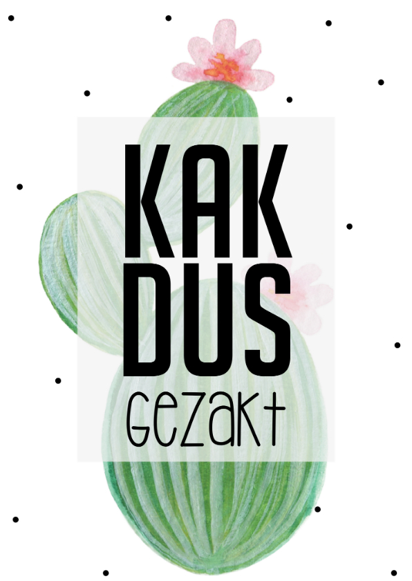 Geslaagd kaarten - KAKDUS gezakt 