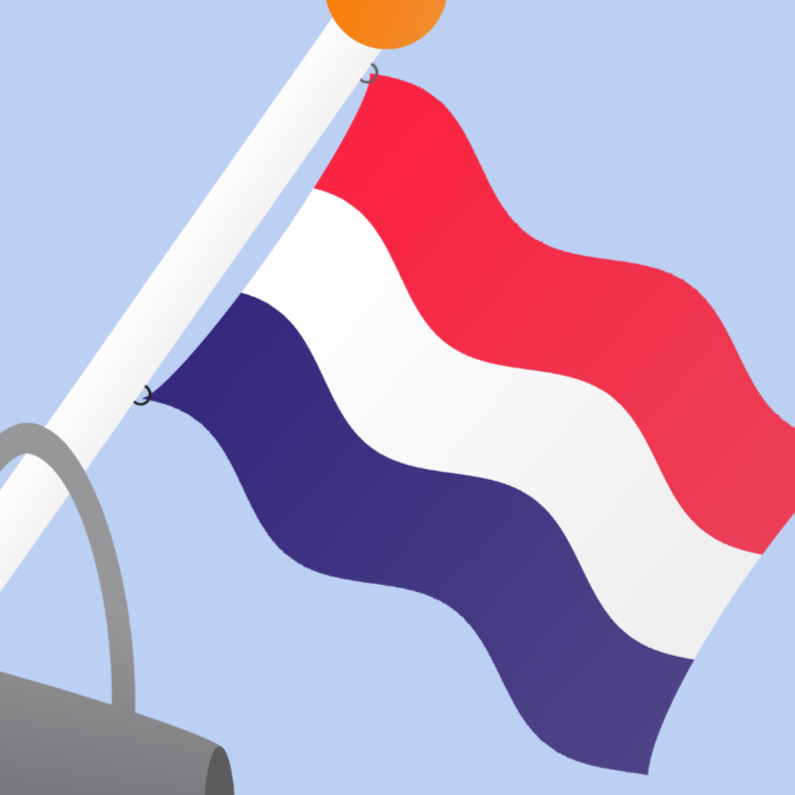 Vlag met tas - Geslaagd kaarten Geslaagd kaarten - Vlag met tas