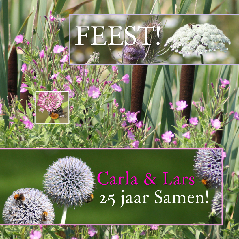 Jubileumfeest zelf invullen - Jubileumkaarten Jubileumkaarten - Jubileumfeest zelf invullen