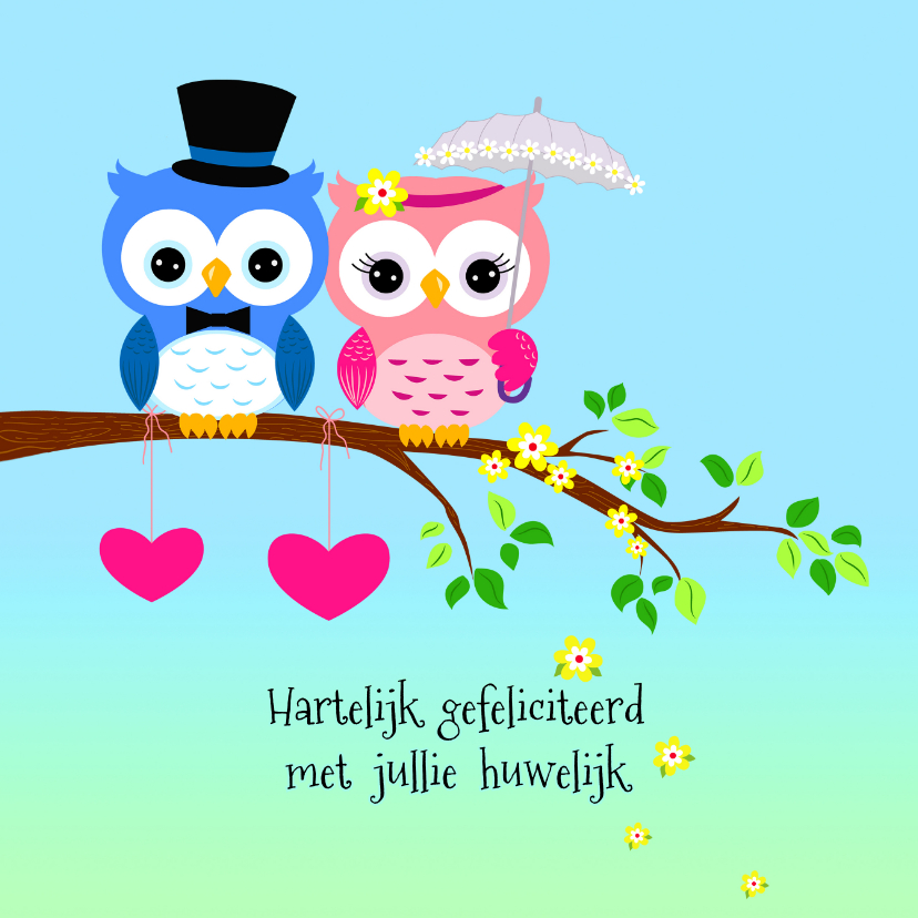 Leuke Huwelijksfelicitaties : Felicitatie met uilen echtpaar felicitatiekaarten