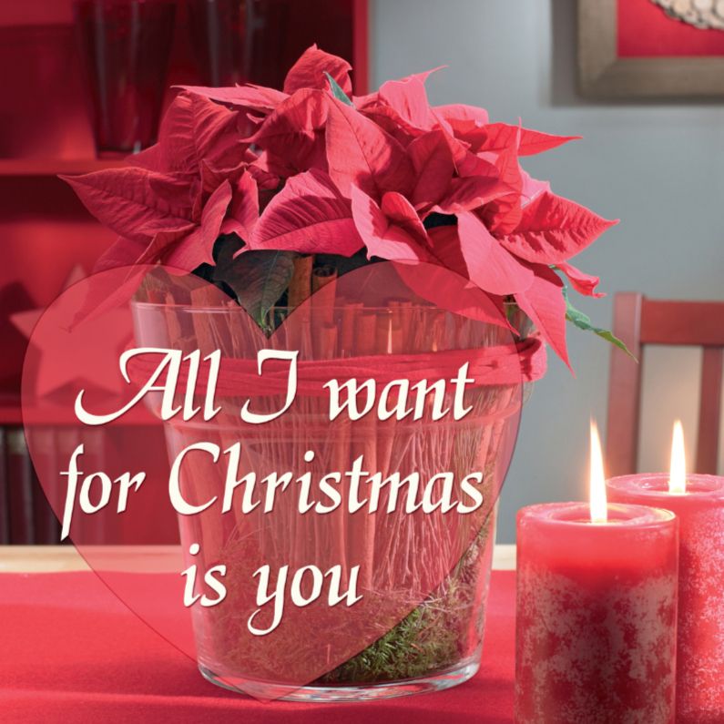 All I want for Christmas is you kerstster - Kerstkaarten Kerstkaarten - All I want for Christmas is you kerstster