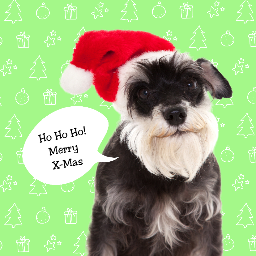 Dieren kerstkaart - Santa Dog - Kerstkaarten Kerstkaarten - Dieren kerstkaart - Santa Dog