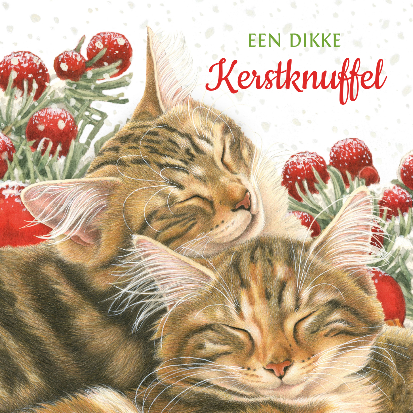 Dikke kerstknuffel kaart met 2 lieve kittens - Kerstkaarten Kerstkaarten - Dikke kerstknuffel kaart met 2 lieve kittens