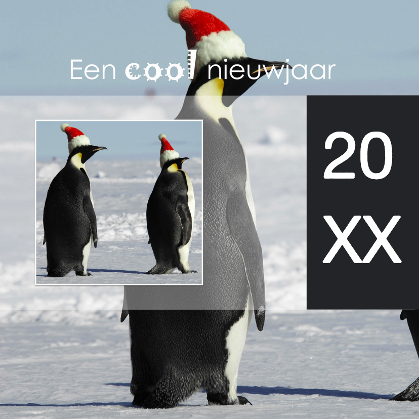 Een cool nieuwjaar 2 - Kerstkaarten Kerstkaarten - Een cool nieuwjaar 2