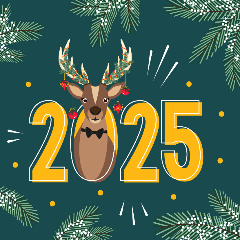 Een fijn 2025 van Rudolf gewenst voor de Kaartje2go