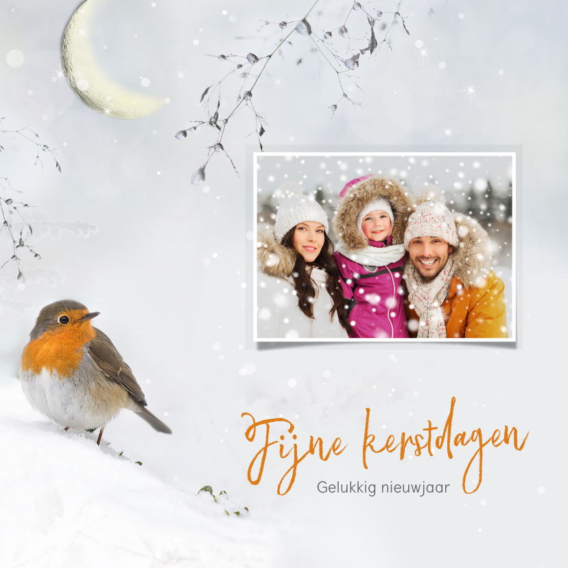 Eigen foto met roodborst - Kerstkaarten Kerstkaarten - Eigen foto met roodborst
