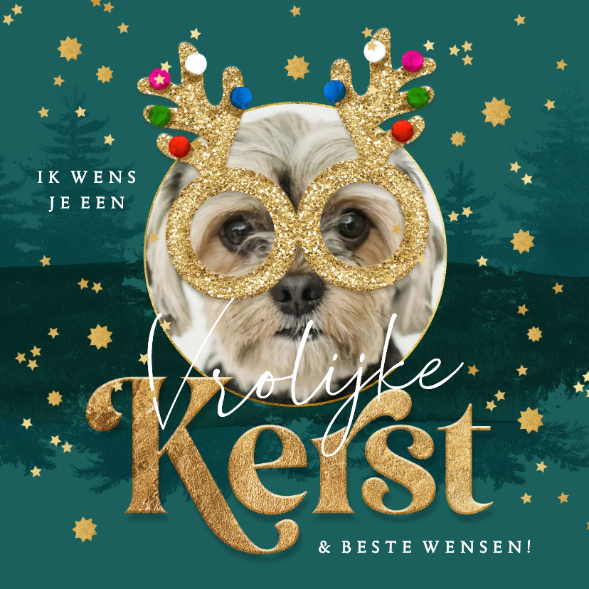 Grappige kerstkaart foto glitterbril rendier sterren goud - Kerstkaarten Kerstkaarten - Grappige kerstkaart foto glitterbril rendier sterren goud