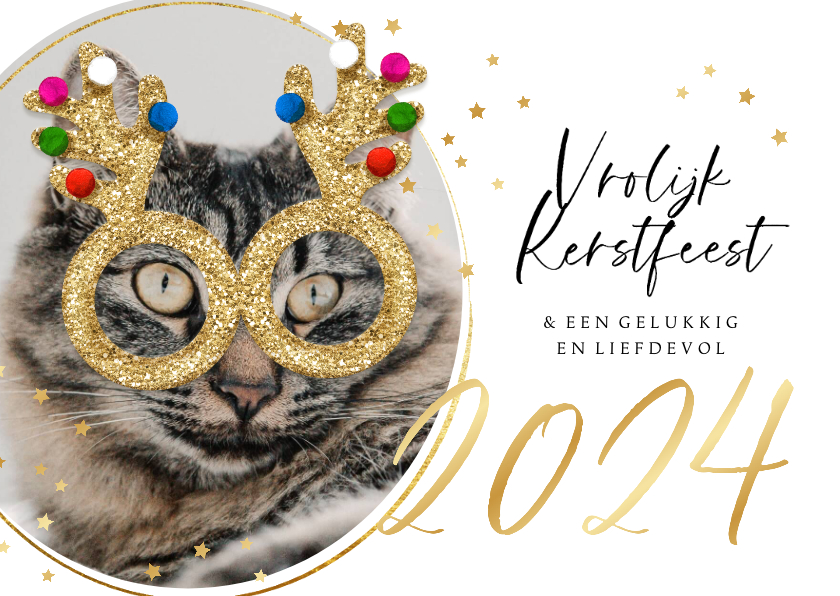 Kerstkaarten - Grappige kerstkaart glitterbril kat sterren jaartal goud