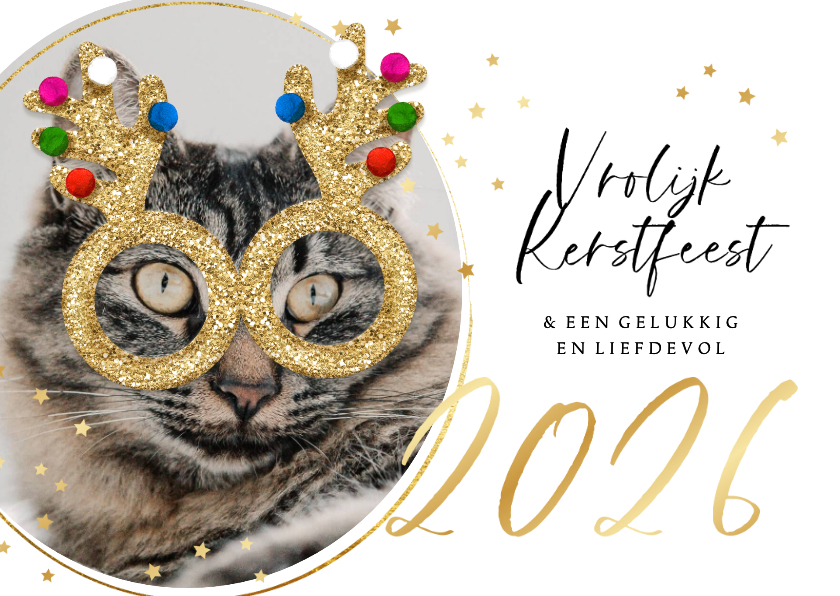 Kerstkaarten - Grappige kerstkaart glitterbril kat sterren jaartal goud