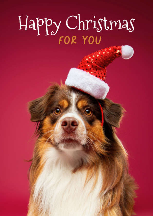 Kerstkaarten - Grappige kerstkaart hond met kerstmuts