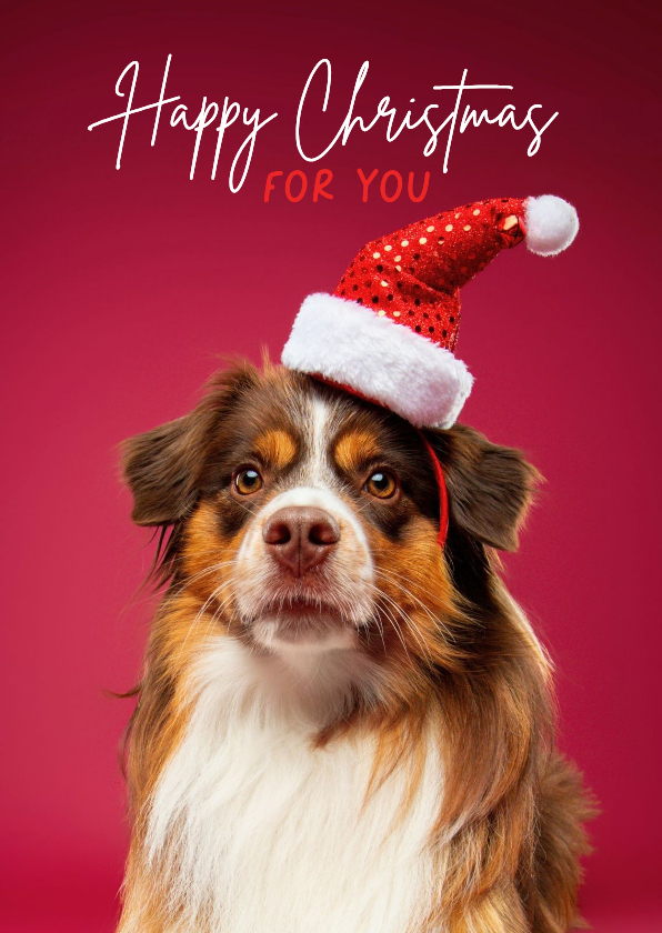 Grappige kerstkaart hond met kerstmuts - Kerstkaarten Kerstkaarten - Grappige kerstkaart hond met kerstmuts