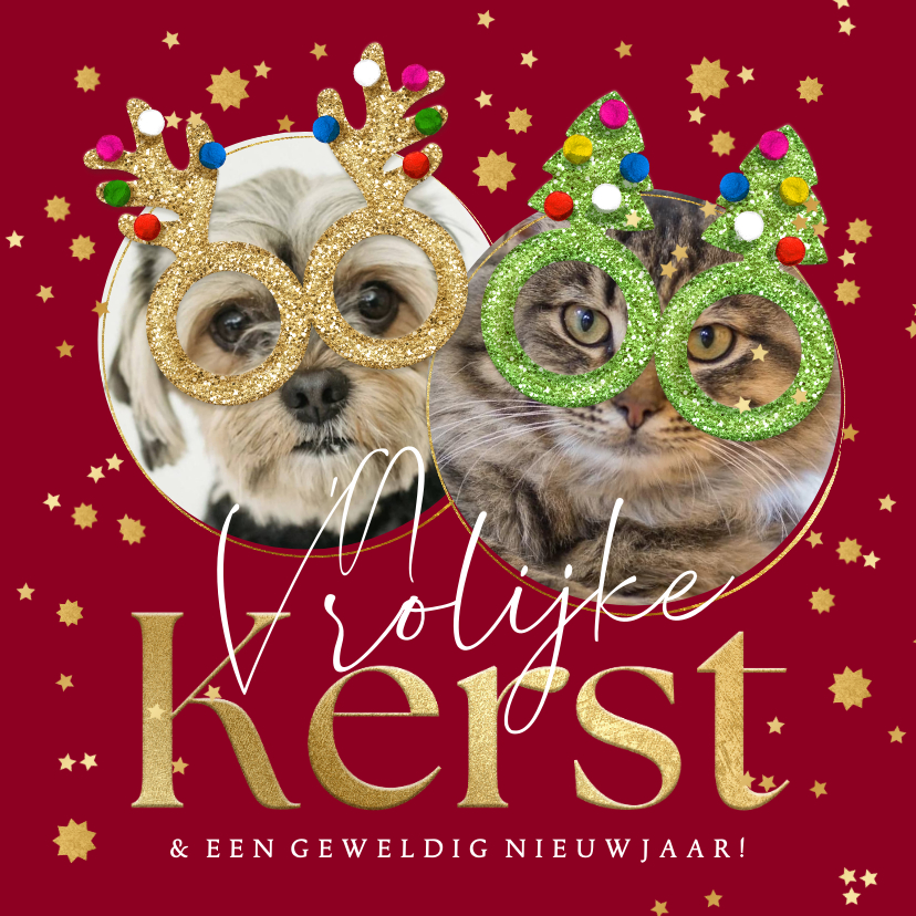 Kerstkaarten - Grappige kerstkaart kerstbrillen glitter huisdier sterren