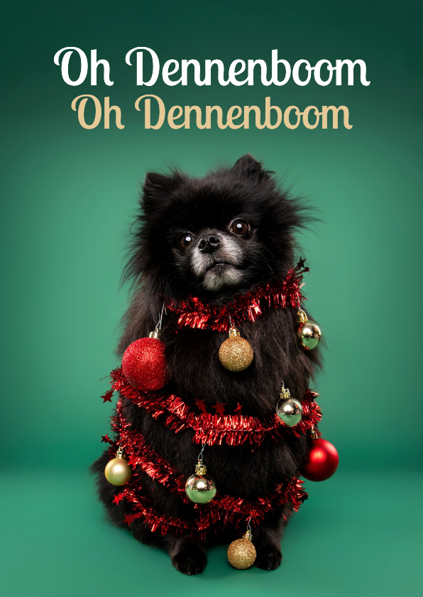 Grappige kerstkaart van hondje als kerstboom met ballen - Kerstkaarten Kerstkaarten - Grappige kerstkaart van hondje als kerstboom met ballen