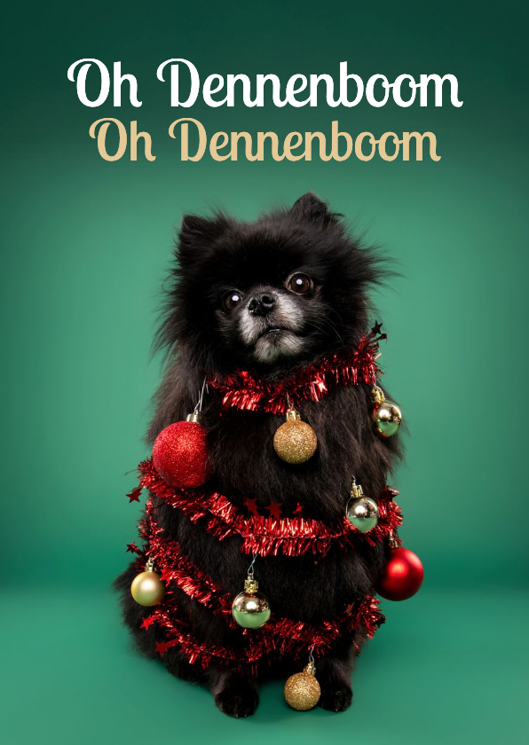 Grappige kerstkaart van hondje als kerstboom met ballen - Kerstkaarten Kerstkaarten - Grappige kerstkaart van hondje als kerstboom met ballen