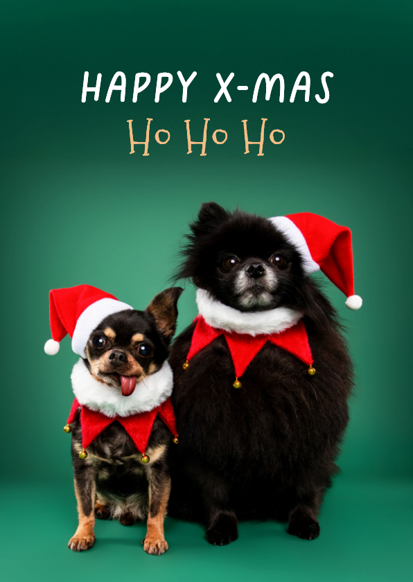Kerstkaarten - Grappige kerstkaart van hondjes met kerstmuts op