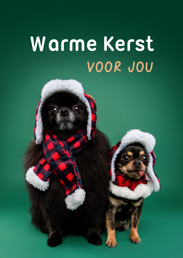 Kerstkaarten - Grappige kerstkaart van hondjes met warme kerstkleding