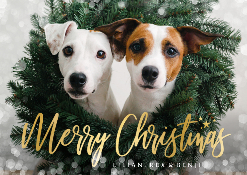 Hippe kerstkaart met grote eigen dieren foto en sneeuwkader - Kerstkaarten Kerstkaarten - Hippe kerstkaart met grote eigen dieren foto en sneeuwkader