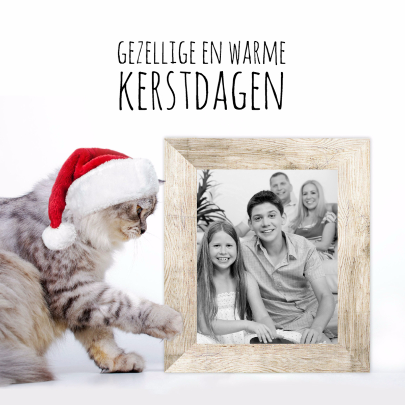 Kat, kerstmuts en fotolijst-isf - Kerstkaarten Kerstkaarten - Kat, kerstmuts en fotolijst-isf