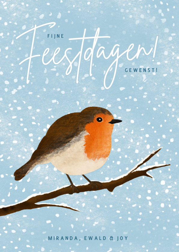 Kerstkaarten - Kerskaart met illustratie van roodborstje in de winter