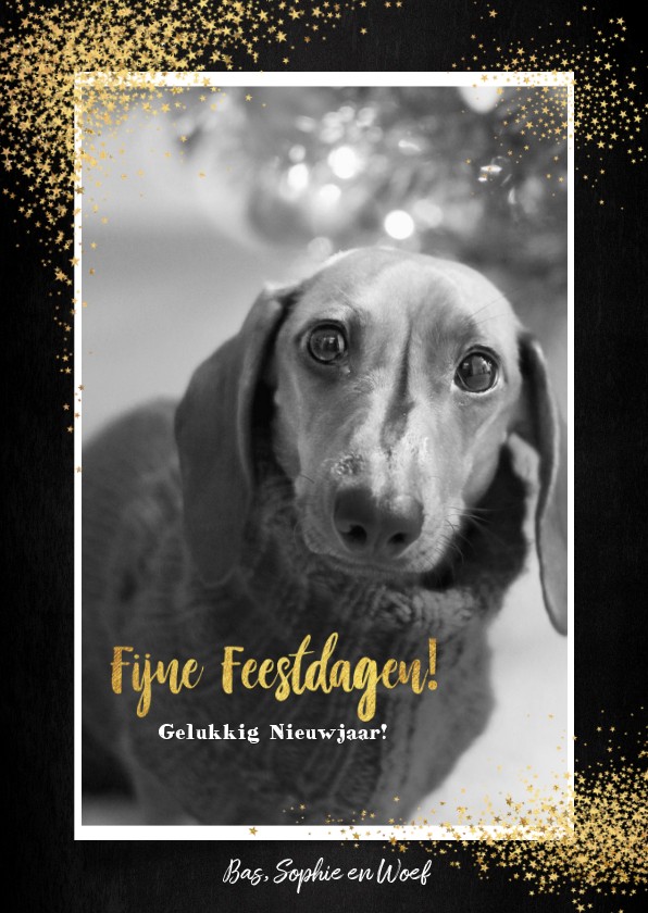 Kerst feestelijke kaart met foto en vele gouden sterretjes - Kerstkaarten Kerstkaarten - Kerst feestelijke kaart met foto en vele gouden sterretjes