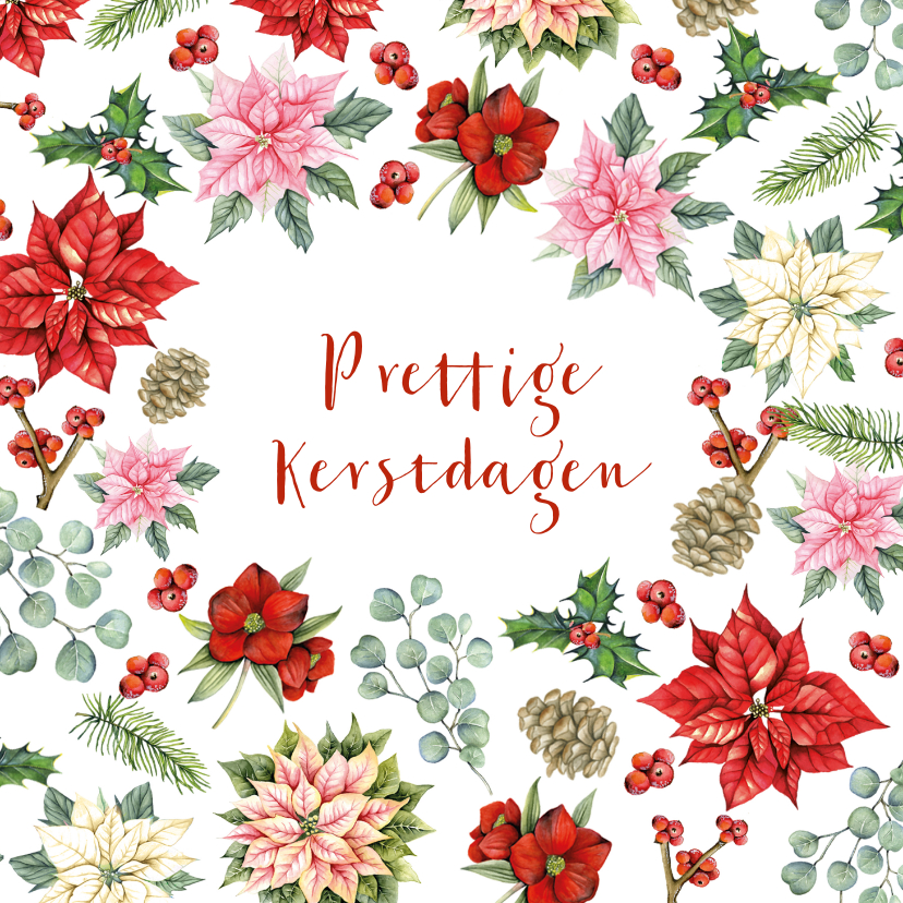 Kerstkaarten - Kerst kerstbloemen met takjes