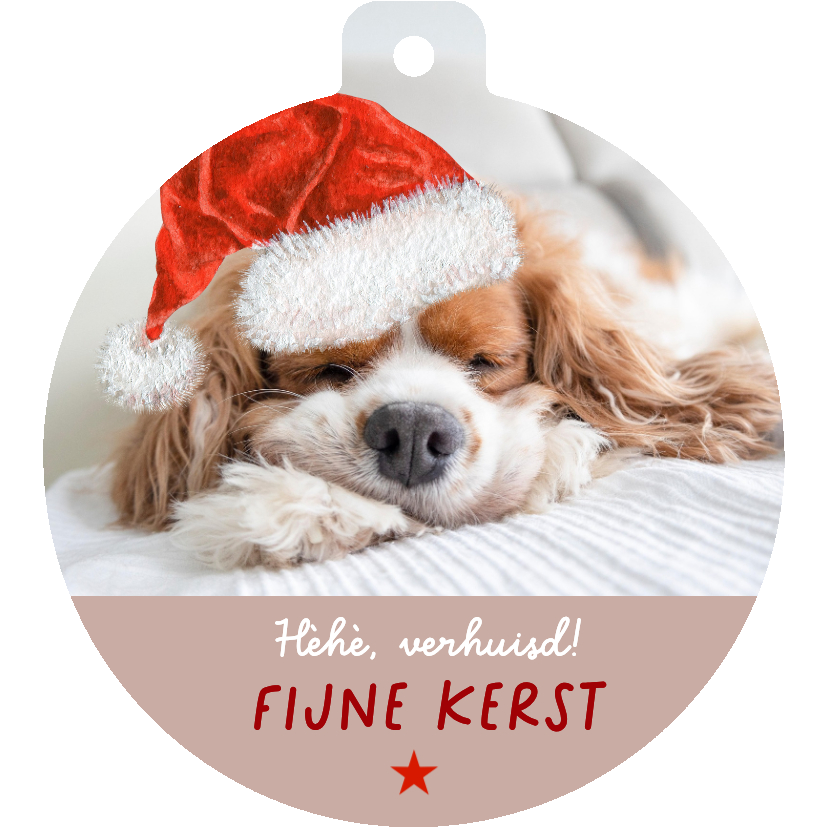 Kerst-verhuiskaart grappig hondje met kerstmuts - Kerstkaarten Kerstkaarten - Kerst-verhuiskaart grappig hondje met kerstmuts