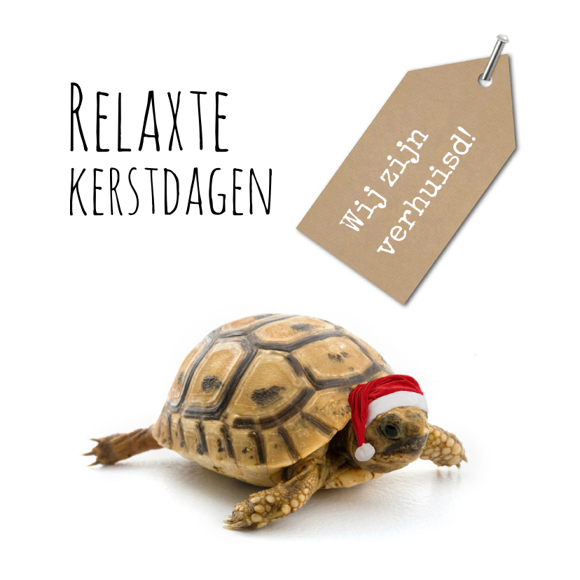 Kerstkaarten - Kerst verhuiskaart grappig met schildpad 