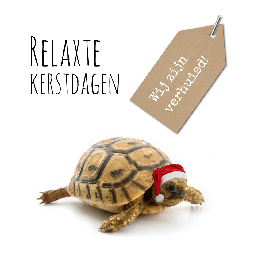 Kerst verhuiskaart grappig met schildpad - Kerstkaarten Kerstkaarten - Kerst verhuiskaart grappig met schildpad