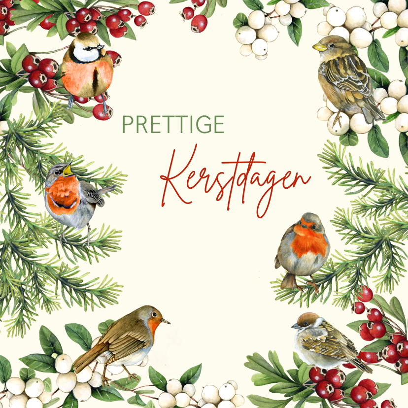 Kerstkaarten - Kerst vogels takjes