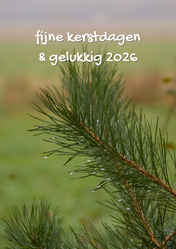 Kerstkaarten - kerstboom in de natuur 