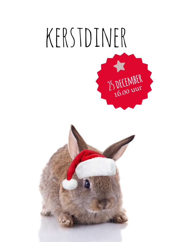 Kerstdiner konijntje met kerstmuts - Kerstkaarten Kerstkaarten - Kerstdiner konijntje met kerstmuts