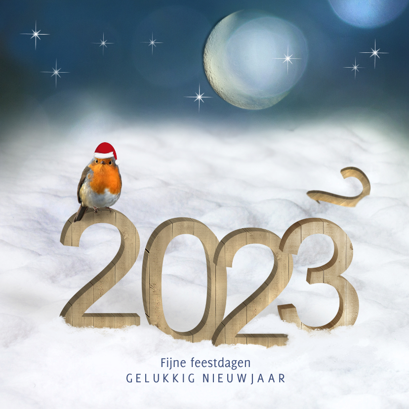 Kerstkaart 2023 houtprint in de sneeuw met roodborst - Kerstkaarten Kerstkaarten - Kerstkaart 2023 houtprint in de sneeuw met roodborst