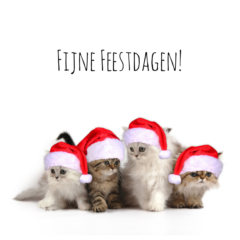 Kerstkaarten - Kerstkaart 4 kerstmuts poesjes