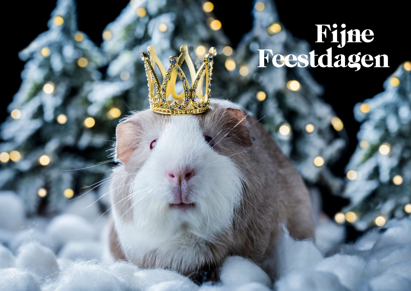 Kerstkaart cavia met kroontje - Kerstkaarten Kerstkaarten - Kerstkaart cavia met kroontje