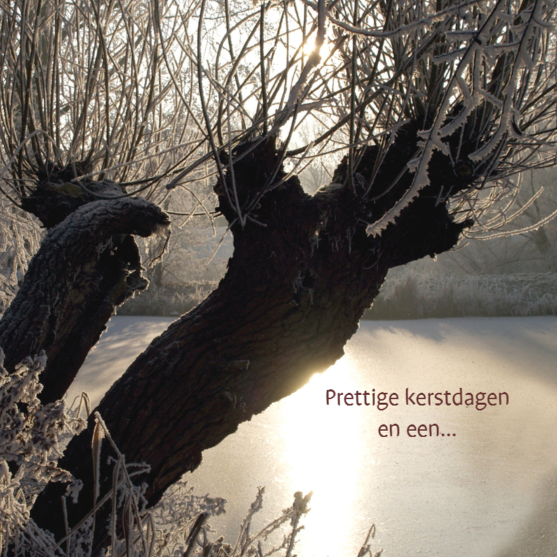Kerstkaart foto betoverde winter bomen - Kerstkaarten Kerstkaarten - Kerstkaart foto betoverde winter bomen