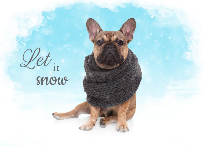 Kerstkaarten - Kerstkaart - Franse Bulldog in de sneeuw