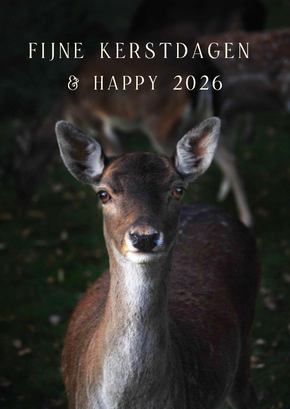 Kerstkaarten - Kerstkaart gelukkige kerst hert