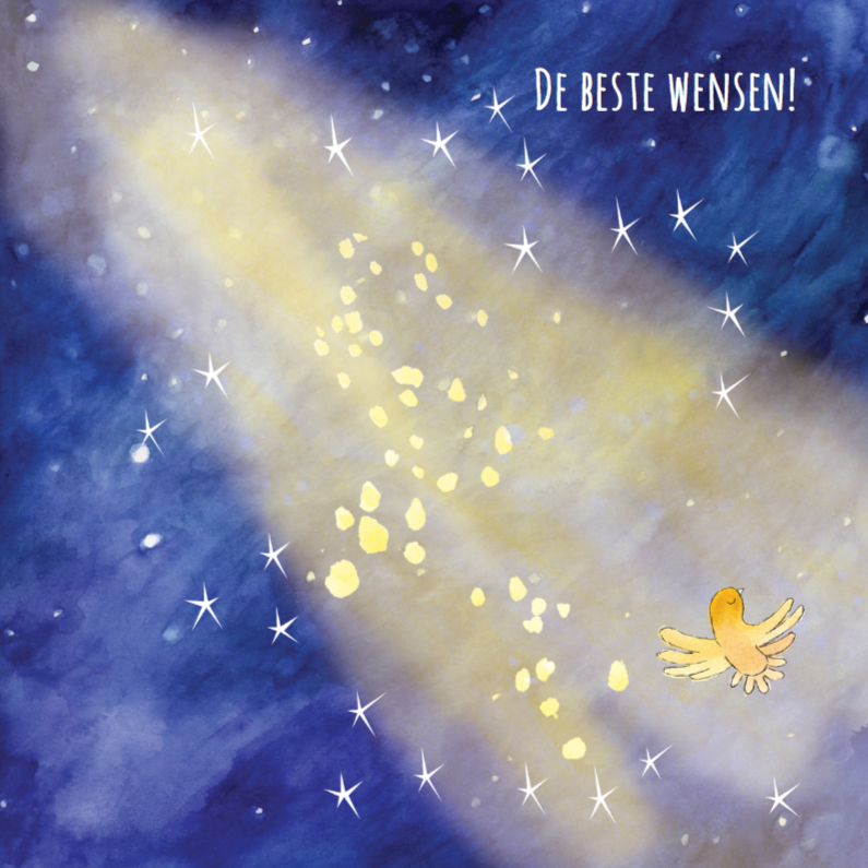 Kerstkaart illustratie nacht - Kerstkaarten Kerstkaarten - Kerstkaart illustratie nacht