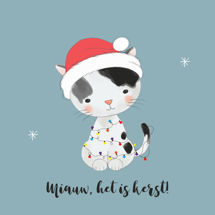 Kerstkaart -kat met kerstmuts en kerstlampjes - Kerstkaarten Kerstkaarten - Kerstkaart -kat met kerstmuts en kerstlampjes