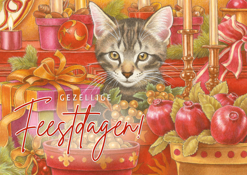 Kerstkaart kitten tussen kerstkadootjes - Kerstkaarten Kerstkaarten - Kerstkaart kitten tussen kerstkadootjes