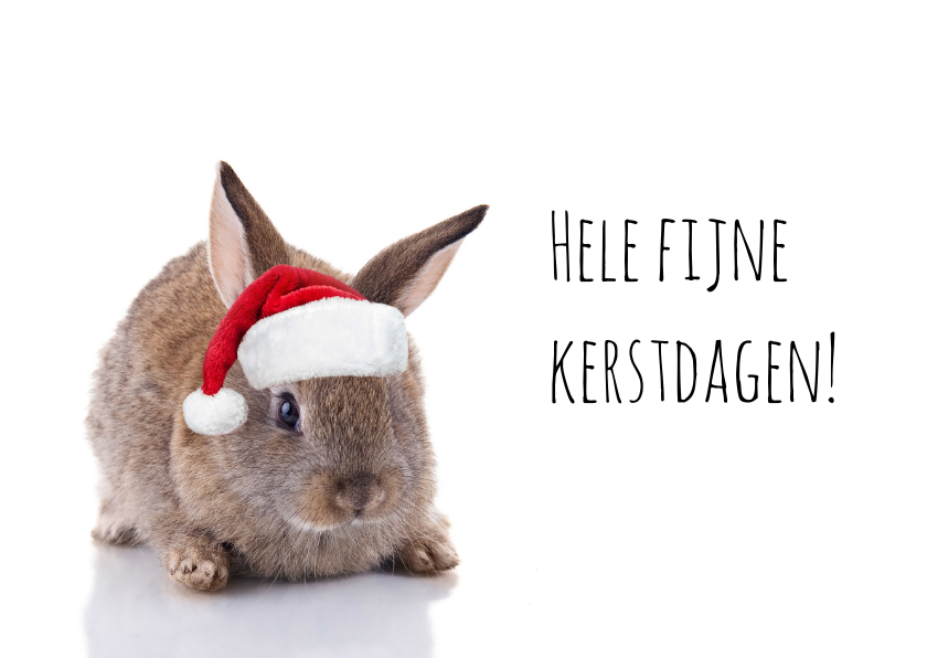 Kerstkaarten - Kerstkaart konijn met kerstmuts
