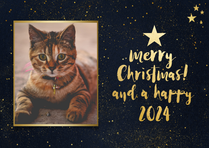 Kerstkaart met donkere achtergrond en gouden sterren - Kerstkaarten Kerstkaarten - Kerstkaart met donkere achtergrond en gouden sterren
