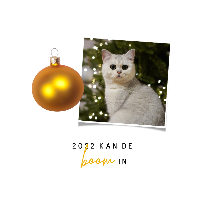 Kerstkaart met foto - 2022 kan de boom in - Kerstkaarten Kerstkaarten - Kerstkaart met foto - 2022 kan de boom in