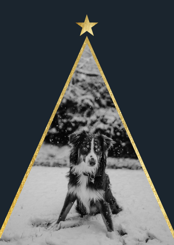 Kerstkaart met foto en gouden ster - Kerstkaarten Kerstkaarten - Kerstkaart met foto en gouden ster