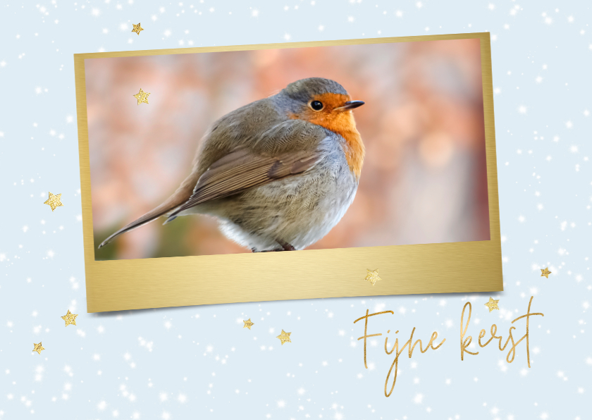 Kerstkaart met foto roodborst - Kerstkaarten Kerstkaarten - Kerstkaart met foto roodborst